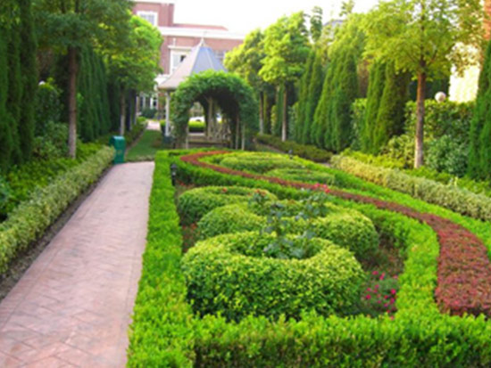 八、綠化養(yǎng)護(hù)